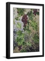 Grapes-Michael Jackson-Framed Premium Giclee Print