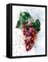 Grapes-Chamira Young-Framed Stretched Canvas