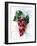 Grapes-Chamira Young-Framed Art Print