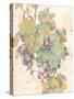 Grapes-unknown VanDyk-Stretched Canvas