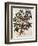 Grapevine, 1229-null-Framed Premium Giclee Print