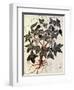 Grapevine, 1229-null-Framed Giclee Print