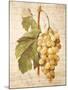 Grapevine 1-Nobleworks Inc.-Mounted Art Print