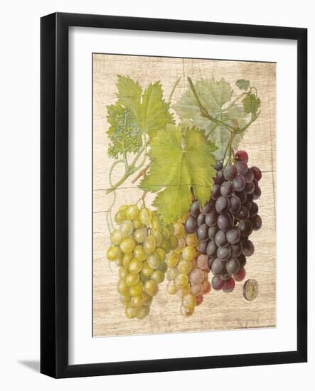 Grapevine 2-Nobleworks Inc.-Framed Art Print