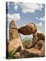 Grapevine Hills and Balanced Rock, Big Bend National Park, Brewster Co., Texas, Usa-Larry Ditto-Stretched Canvas