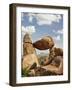 Grapevine Hills and Balanced Rock, Big Bend National Park, Brewster Co., Texas, Usa-Larry Ditto-Framed Photographic Print