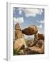 Grapevine Hills and Balanced Rock, Big Bend National Park, Brewster Co., Texas, Usa-Larry Ditto-Framed Photographic Print