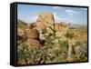 Grapevine Hills in Chihuahuan Desert, Big Bend National Park, Brewster Co., Texas, Usa-Larry Ditto-Framed Stretched Canvas