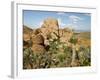 Grapevine Hills in Chihuahuan Desert, Big Bend National Park, Brewster Co., Texas, Usa-Larry Ditto-Framed Photographic Print