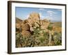 Grapevine Hills in Chihuahuan Desert, Big Bend National Park, Brewster Co., Texas, Usa-Larry Ditto-Framed Photographic Print