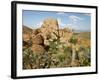 Grapevine Hills in Chihuahuan Desert, Big Bend National Park, Brewster Co., Texas, Usa-Larry Ditto-Framed Photographic Print