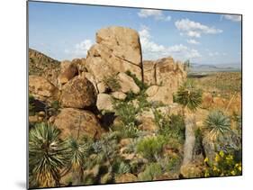 Grapevine Hills in Chihuahuan Desert, Big Bend National Park, Brewster Co., Texas, Usa-Larry Ditto-Mounted Photographic Print