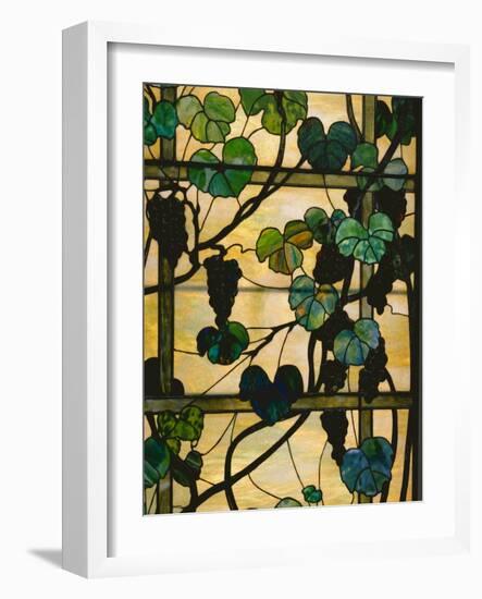 Grapevine Panel, C.1902-15 (Leaded Favrile Glass)-Louis Comfort Tiffany-Framed Giclee Print