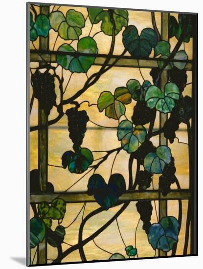 Grapevine Panel, C.1902-15 (Leaded Favrile Glass)-Louis Comfort Tiffany-Mounted Giclee Print