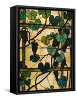 Grapevine Panel, C.1902-15 (Leaded Favrile Glass)-Louis Comfort Tiffany-Framed Stretched Canvas