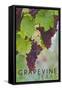 Grapevine, Texas - Wine Grapes on Vine #3-Lantern Press-Framed Stretched Canvas
