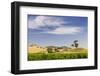 Grapevines and Rolling Hills in the Barossa Valley-Jon Hicks-Framed Photographic Print