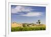 Grapevines and Rolling Hills in the Barossa Valley-Jon Hicks-Framed Photographic Print