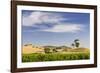 Grapevines and Rolling Hills in the Barossa Valley-Jon Hicks-Framed Photographic Print