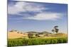 Grapevines and Rolling Hills in the Barossa Valley-Jon Hicks-Mounted Photographic Print