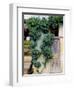 Grapevines Growing on House-Owen Franken-Framed Photographic Print