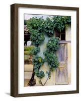 Grapevines Growing on House-Owen Franken-Framed Photographic Print