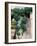 Grapevines Growing on House-Owen Franken-Framed Photographic Print