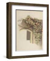 Grapevines on a Brick House, 1832-Johann Martin Gensler-Framed Giclee Print