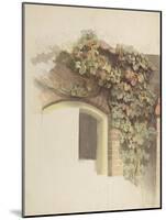 Grapevines on a Brick House, 1832-Johann Martin Gensler-Mounted Giclee Print