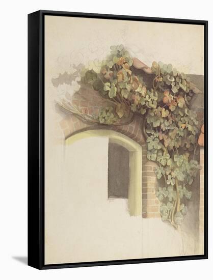 Grapevines on a Brick House, 1832-Johann Martin Gensler-Framed Stretched Canvas