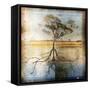 Graph of Tree and Roots-Colin Anderson-Framed Stretched Canvas