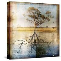 Graph of Tree and Roots-Colin Anderson-Stretched Canvas