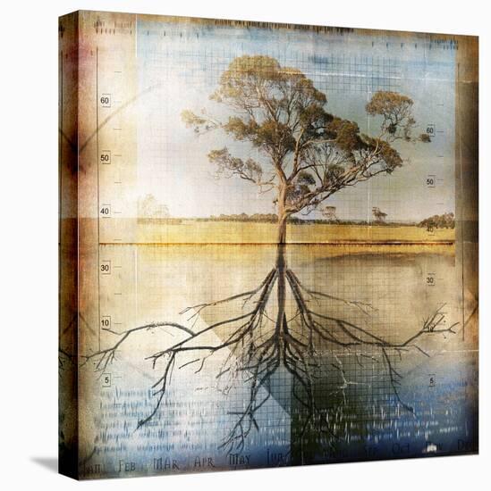 Graph of Tree and Roots-Colin Anderson-Stretched Canvas