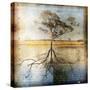 Graph of Tree and Roots-Colin Anderson-Stretched Canvas