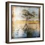 Graph of Tree and Roots-Colin Anderson-Framed Photographic Print