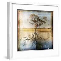 Graph of Tree and Roots-Colin Anderson-Framed Photographic Print