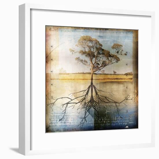 Graph of Tree and Roots-Colin Anderson-Framed Photographic Print