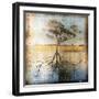 Graph of Tree and Roots-Colin Anderson-Framed Photographic Print