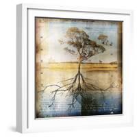 Graph of Tree and Roots-Colin Anderson-Framed Photographic Print