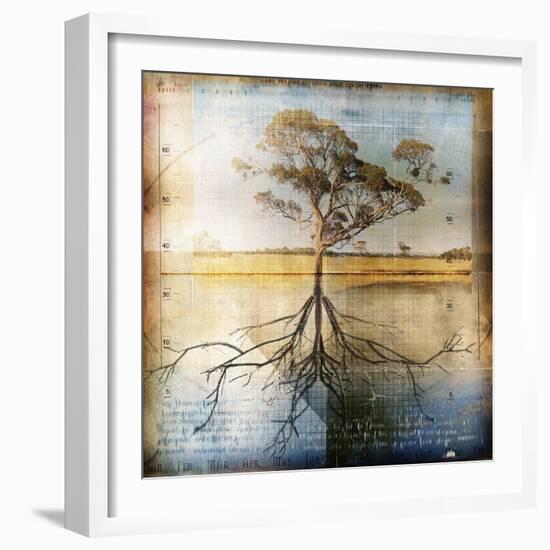 Graph of Tree and Roots-Colin Anderson-Framed Photographic Print