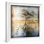 Graph of Tree and Roots-Colin Anderson-Framed Photographic Print