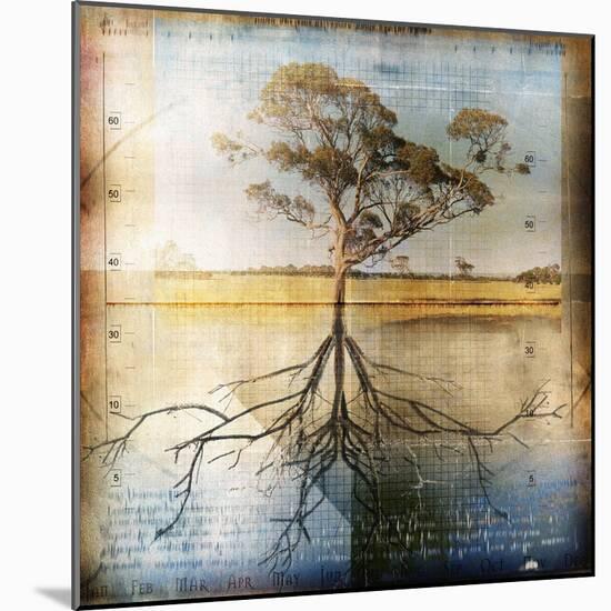 Graph of Tree and Roots-Colin Anderson-Mounted Photographic Print