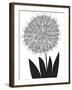 Graphic Allium-Sophie Ledesma-Framed Giclee Print