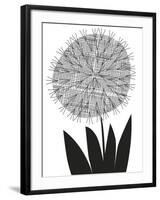 Graphic Allium-Sophie Ledesma-Framed Giclee Print