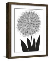 Graphic Allium-Sophie Ledesma-Framed Giclee Print