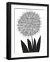 Graphic Allium-Sophie Ledesma-Framed Giclee Print