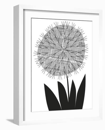 Graphic Allium-Sophie Ledesma-Framed Giclee Print