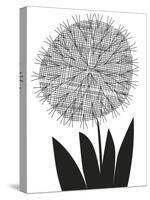 Graphic Allium-Sophie Ledesma-Stretched Canvas