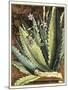 Graphic Aloe II-Vision Studio-Mounted Art Print