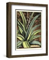 Graphic Aloe III-Vision Studio-Framed Art Print